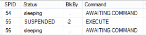 SSIS Transaction sp_who2